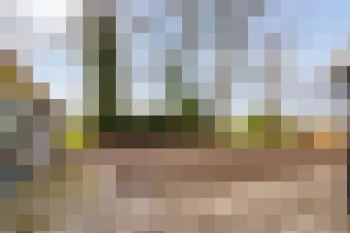 Tijnjeweg 11 Gersloot thumbnail 39