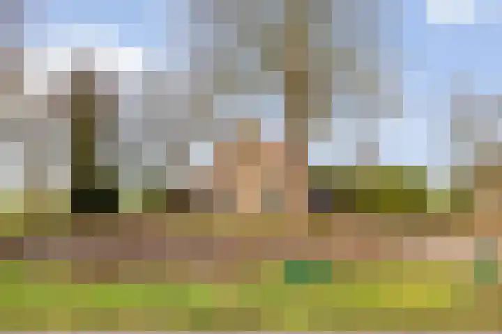 Tijnjeweg 11 Gersloot thumbnail 4