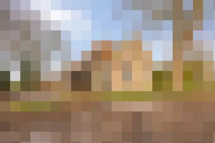 Tijnjeweg 11 Gersloot thumbnail 5