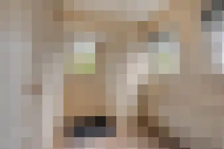 Tijnjeweg 11 Gersloot thumbnail 8