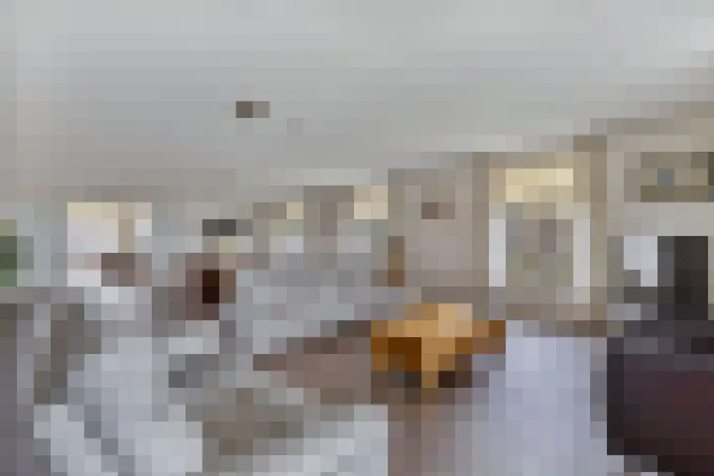 Tijnjeweg 37 Gersloot thumbnail 12