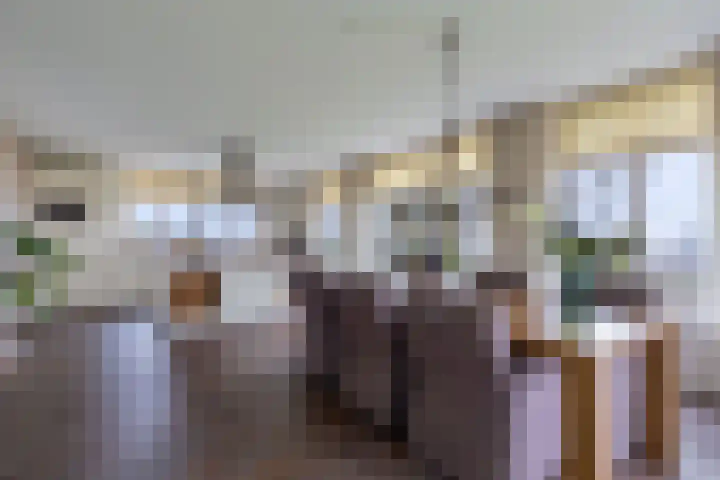 Tijnjeweg 37 Gersloot thumbnail 15