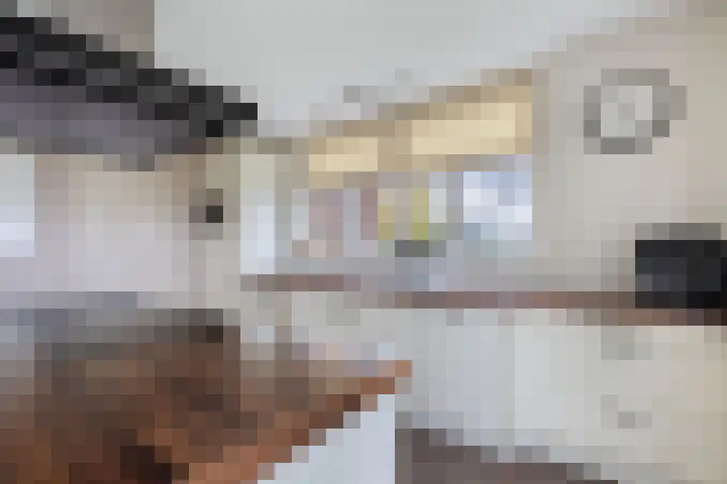 Tijnjeweg 37 Gersloot thumbnail 18