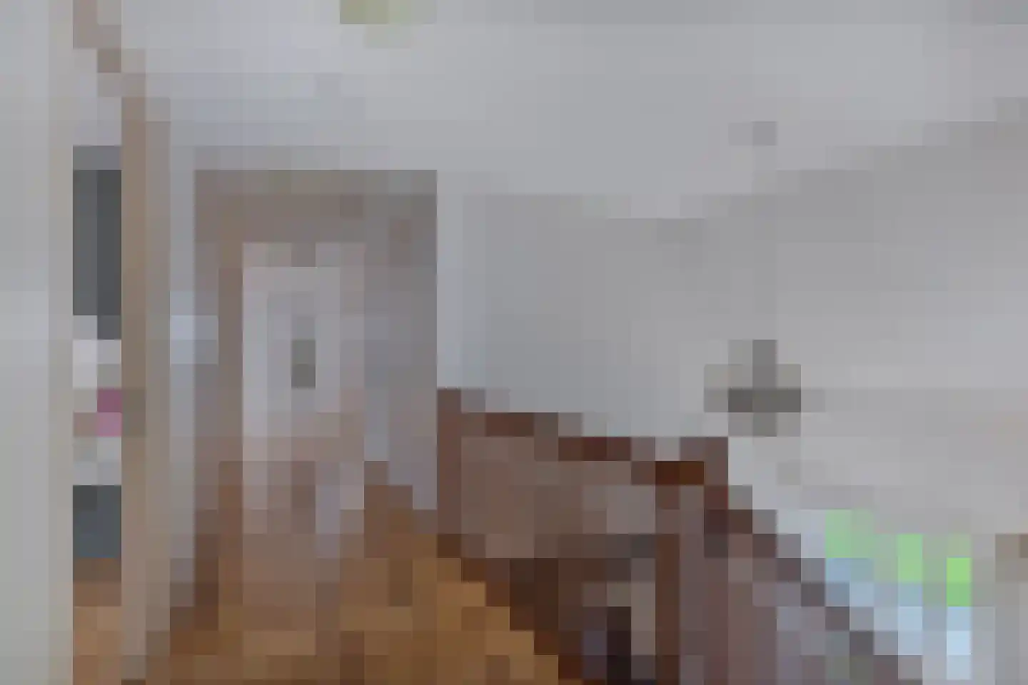 Tijnjeweg 37 Gersloot thumbnail 23