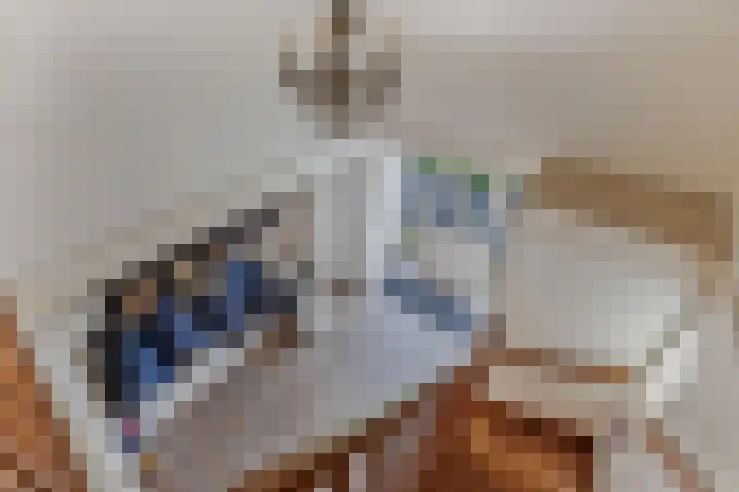 Tijnjeweg 37 Gersloot thumbnail 25