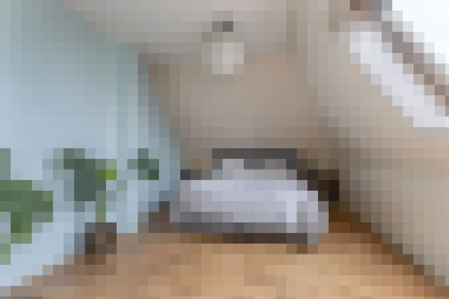 Tijnjeweg 37 Gersloot thumbnail 31