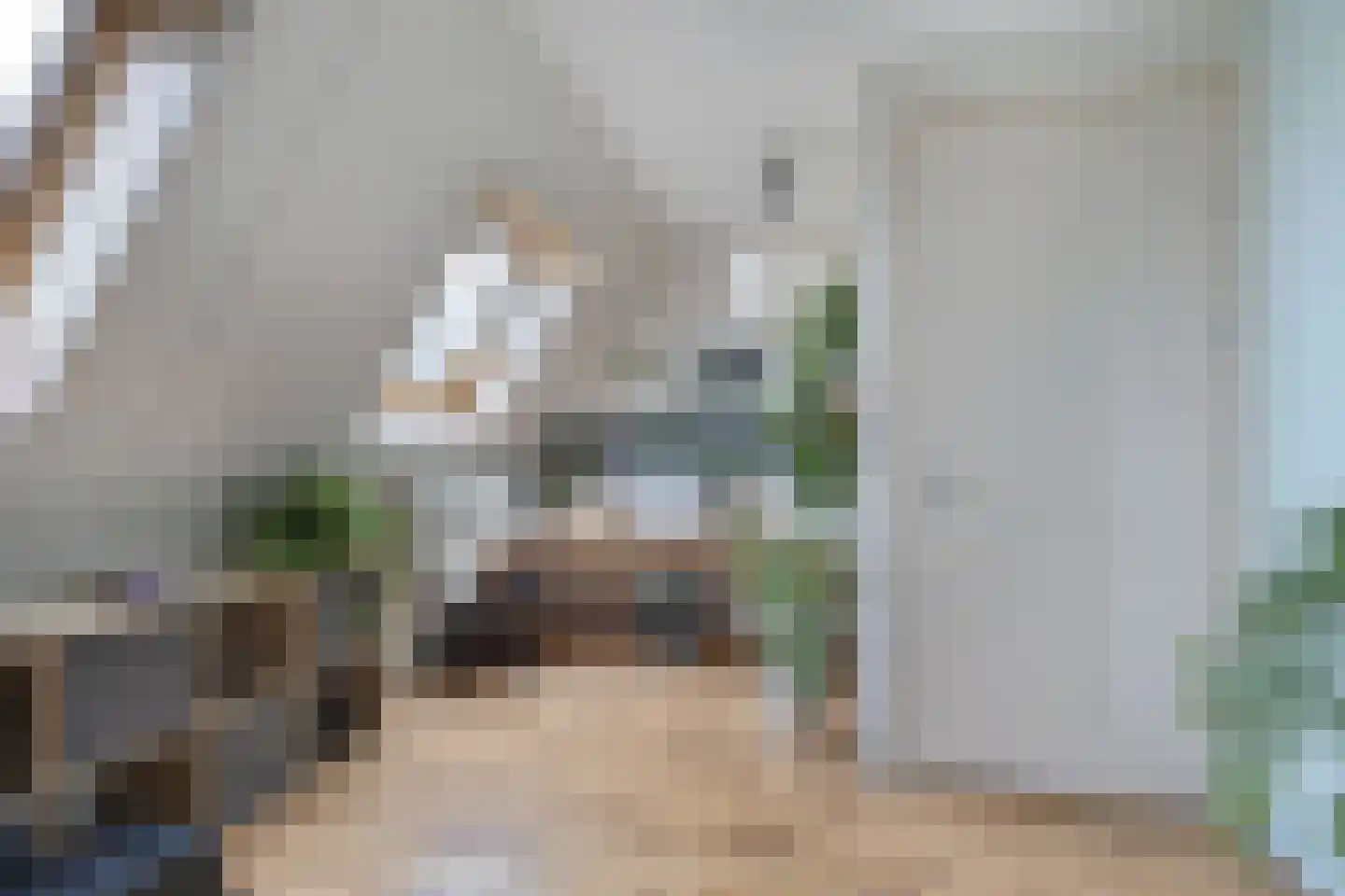 Tijnjeweg 37 Gersloot thumbnail 32