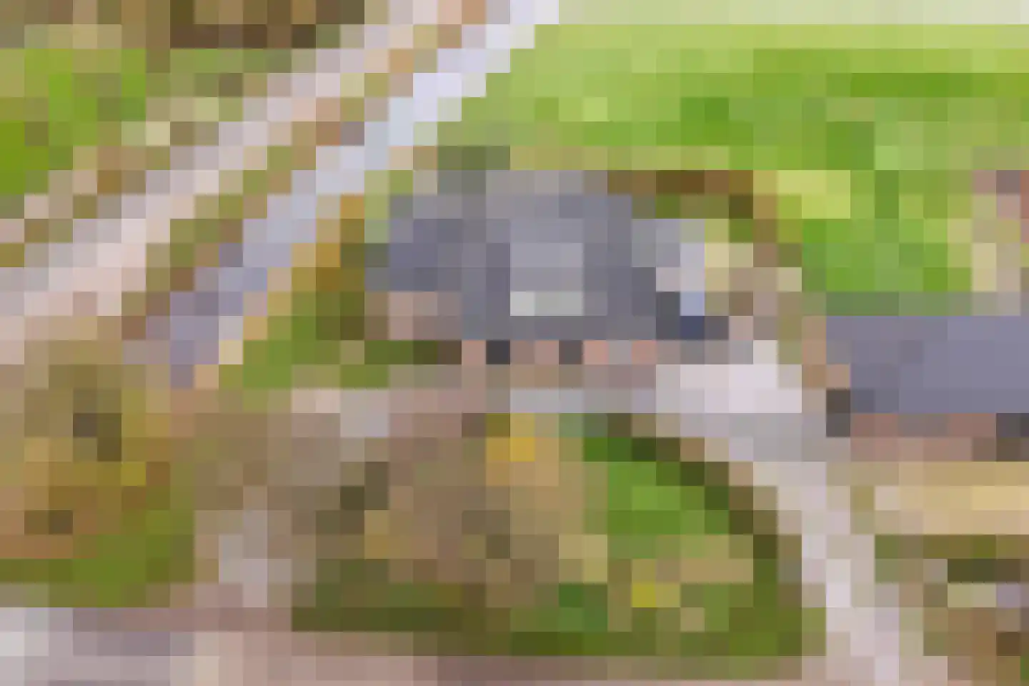 Tijnjeweg 37 Gersloot thumbnail 41