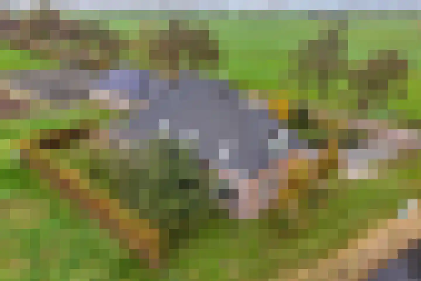 Tijnjeweg 37 Gersloot thumbnail 42