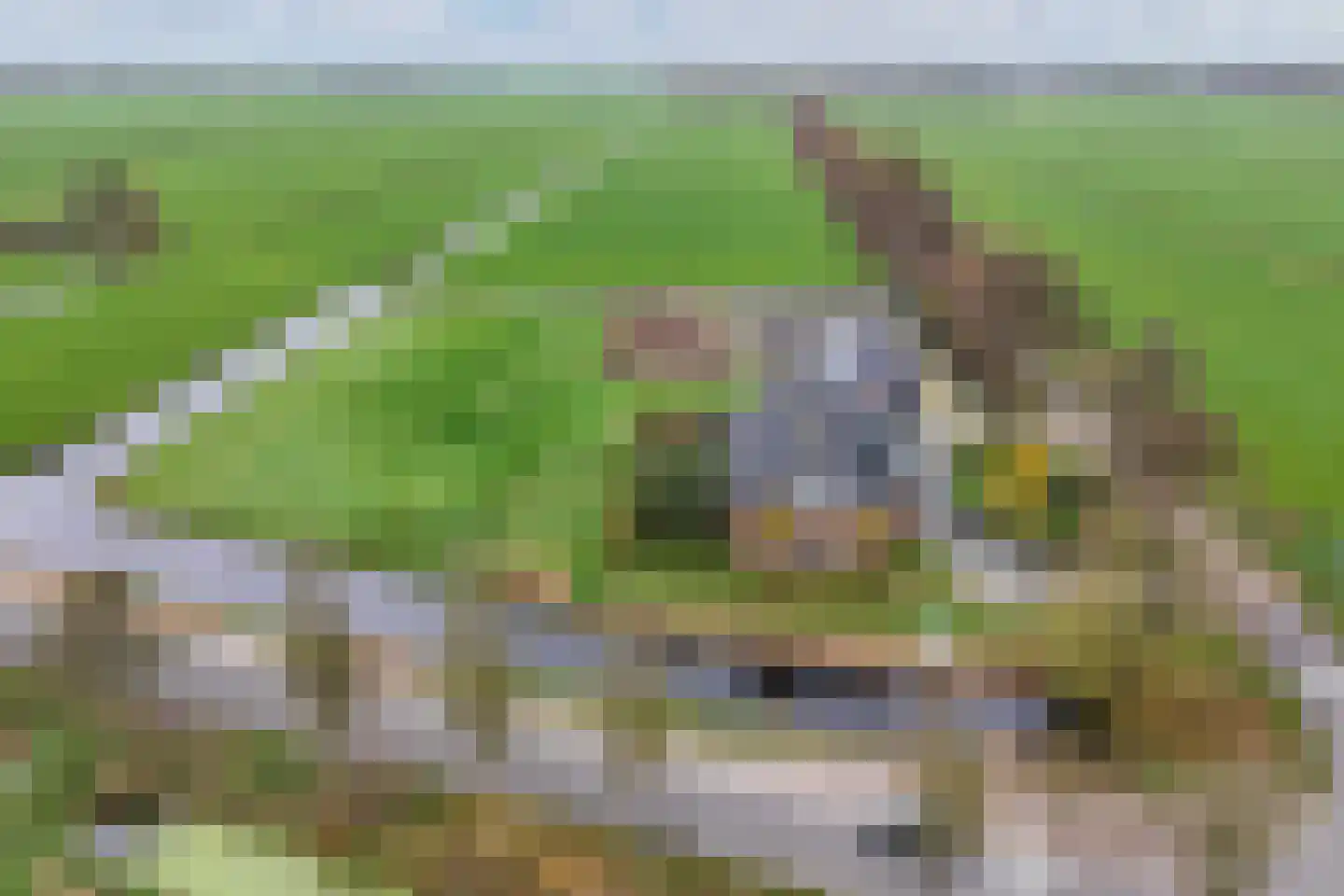 Tijnjeweg 37 Gersloot thumbnail 43