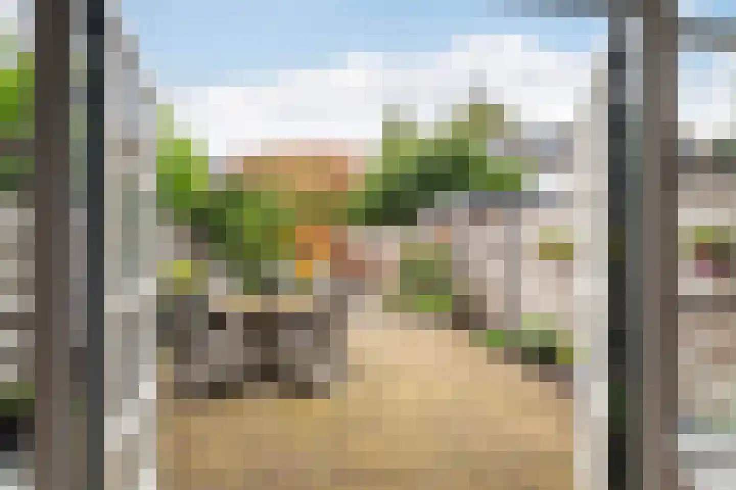 Tijns 5 Maasland thumbnail 13