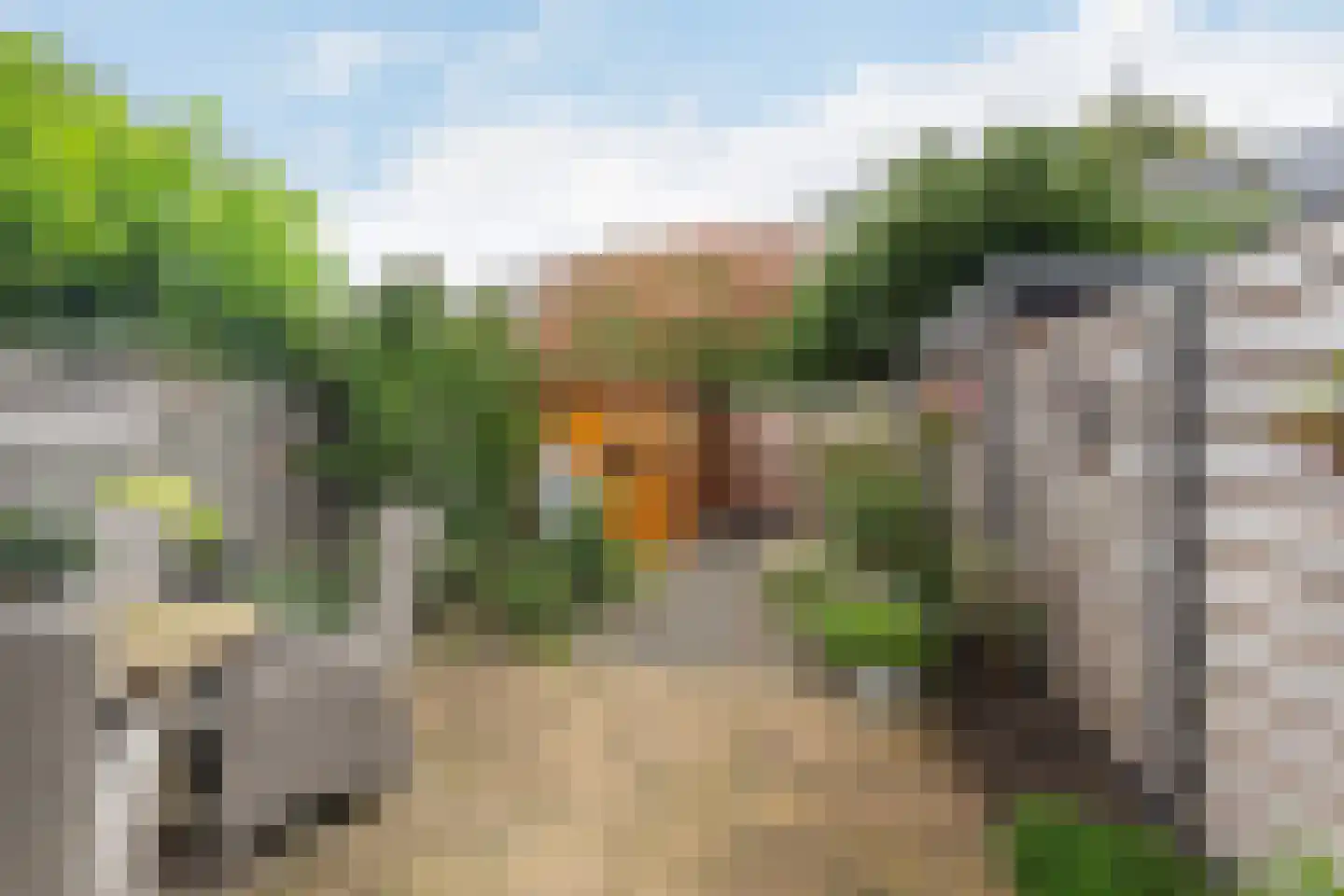 Tijns 5 Maasland thumbnail 14