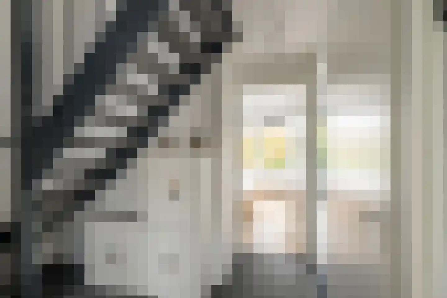 Tijns 5 Maasland thumbnail 19