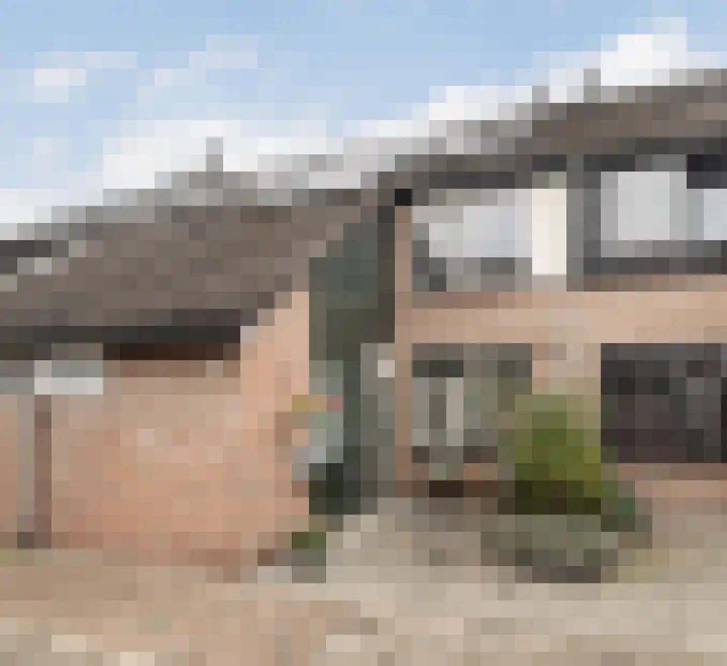 Tijns 5 Maasland foto 2