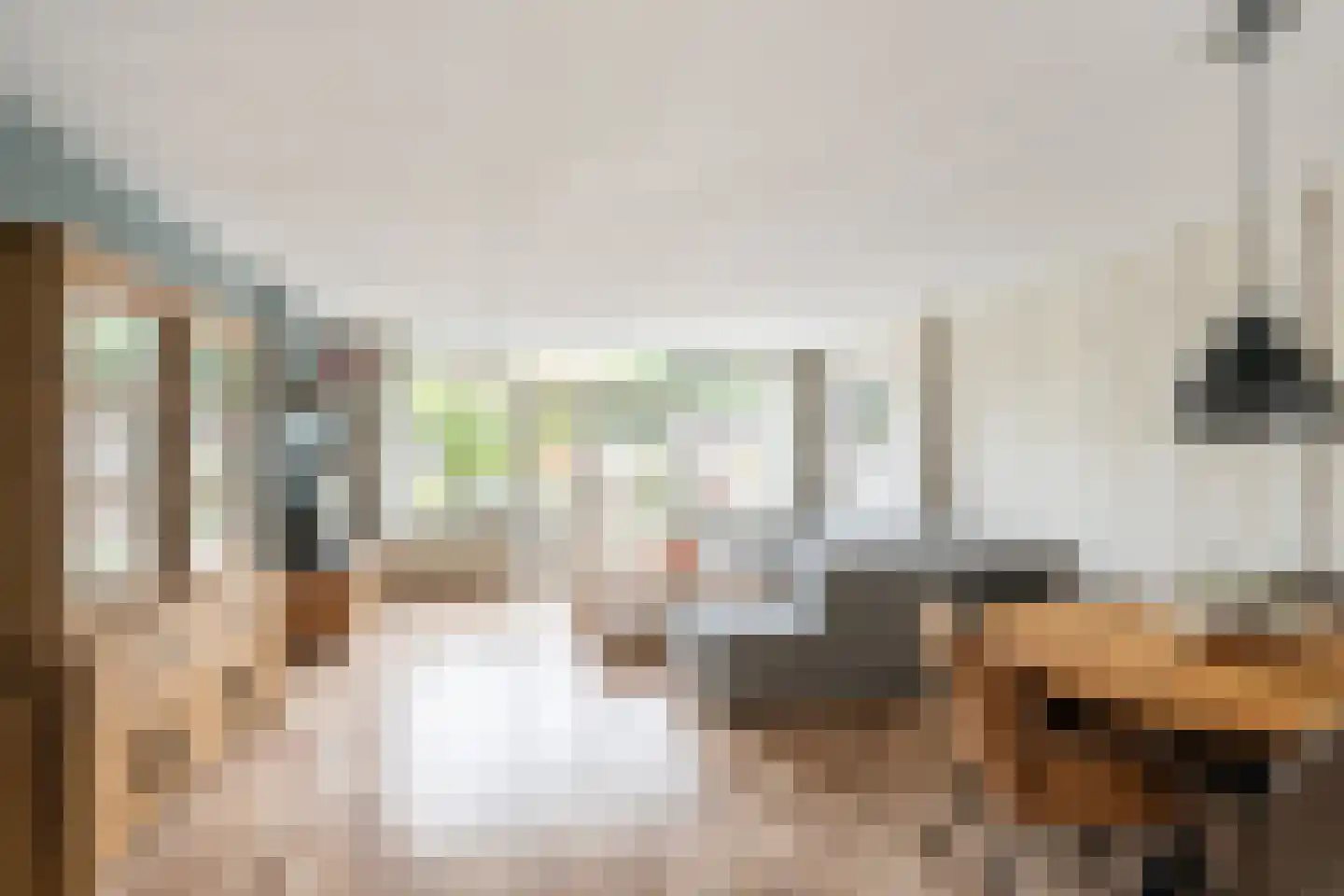 Tijns 5 Maasland foto 3