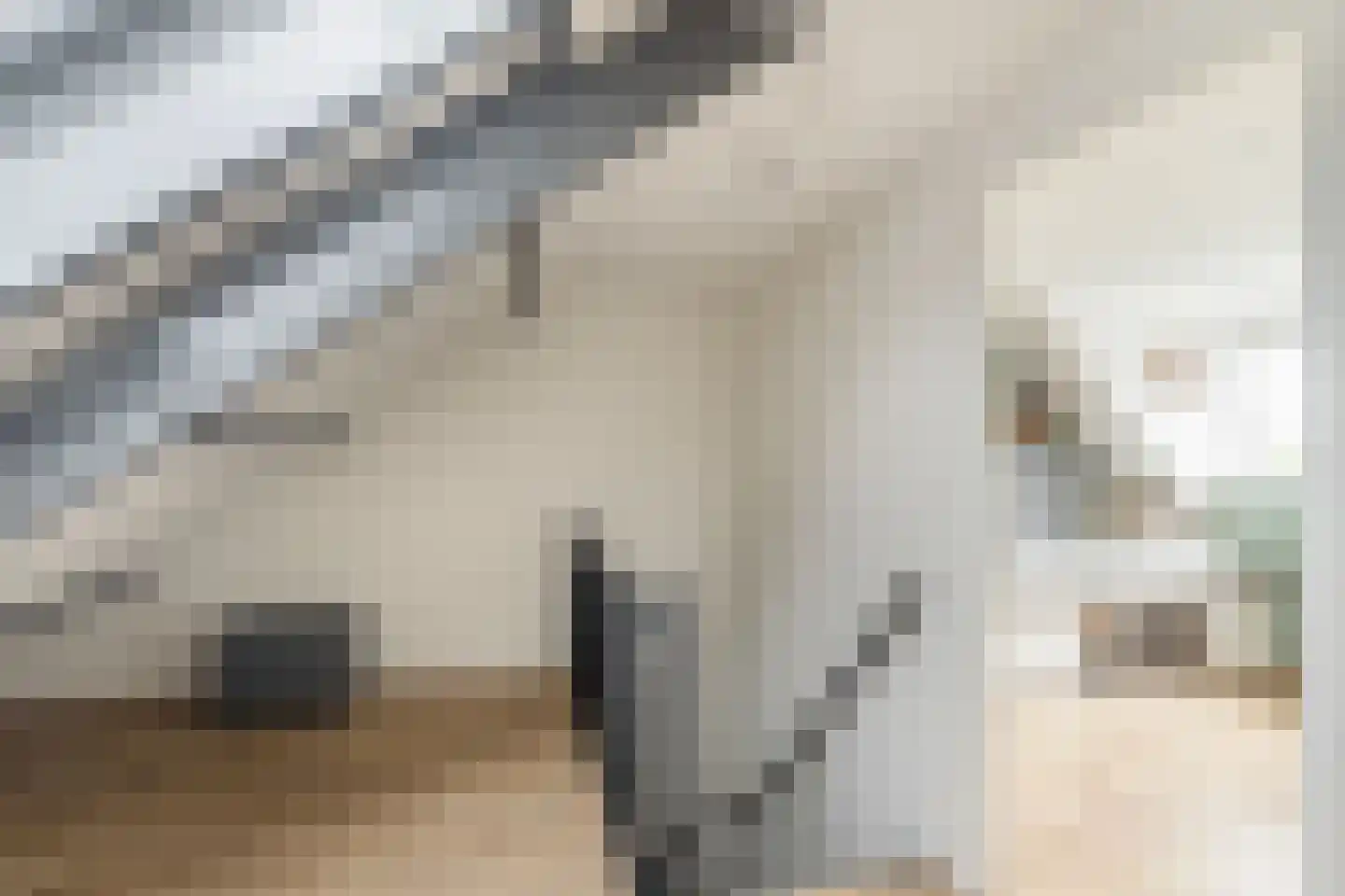 Tijns 5 Maasland thumbnail 30