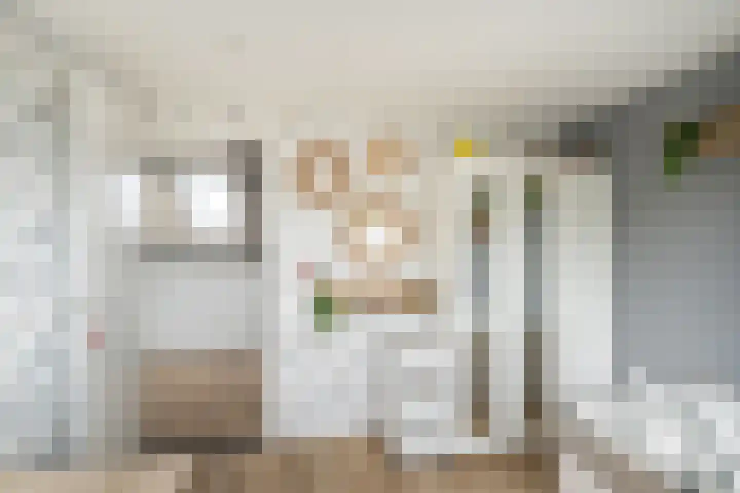 Tijns 5 Maasland thumbnail 34