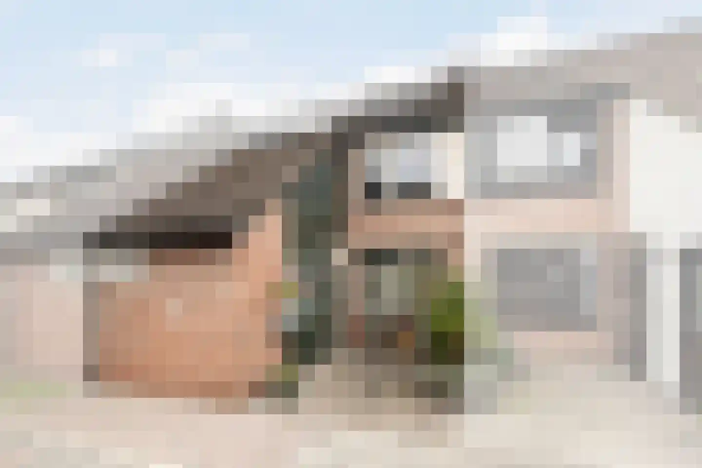 Tijns 5 Maasland thumbnail 35
