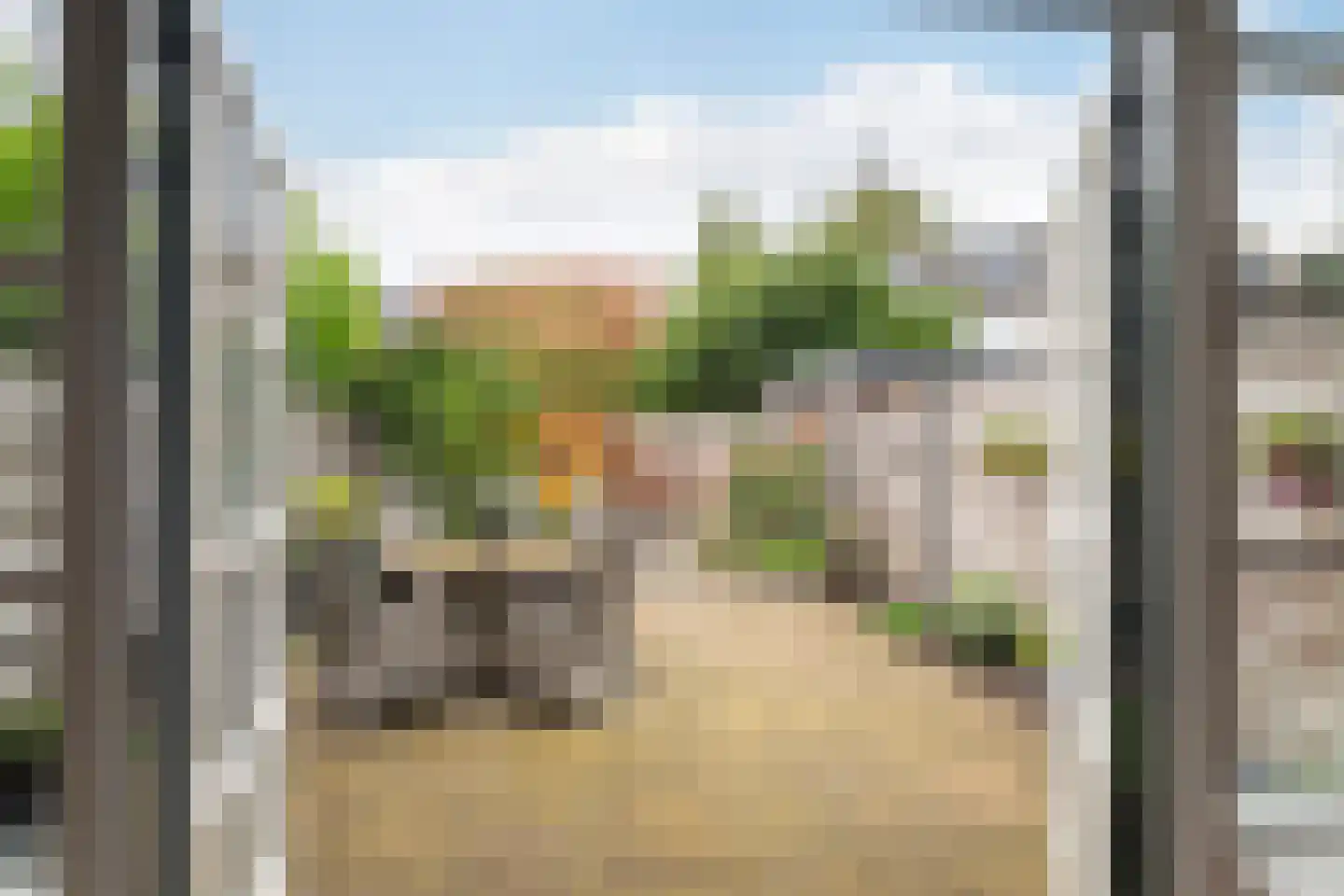 Tijns 5 Maasland thumbnail 4