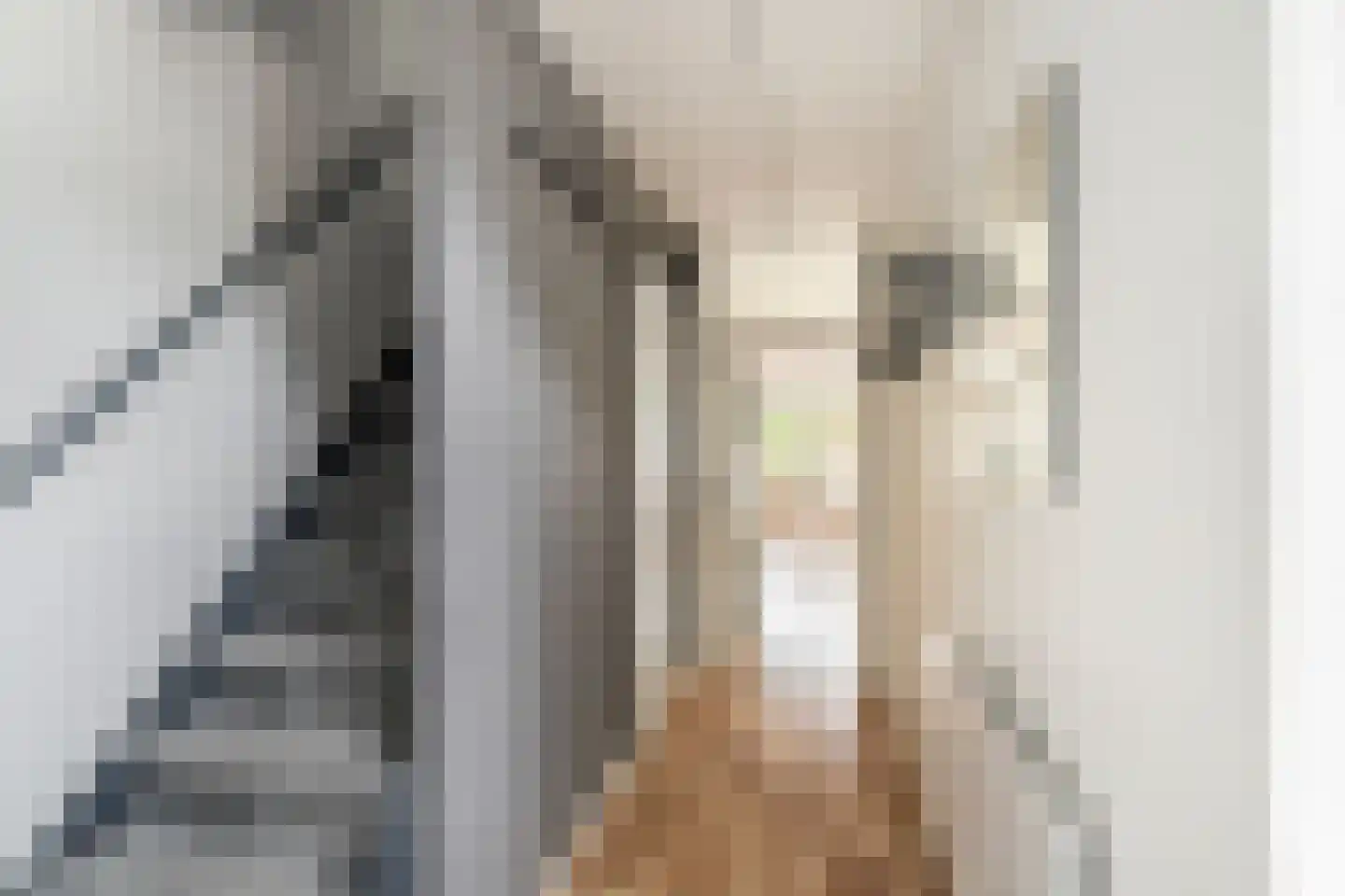 Tijns 5 Maasland thumbnail 5
