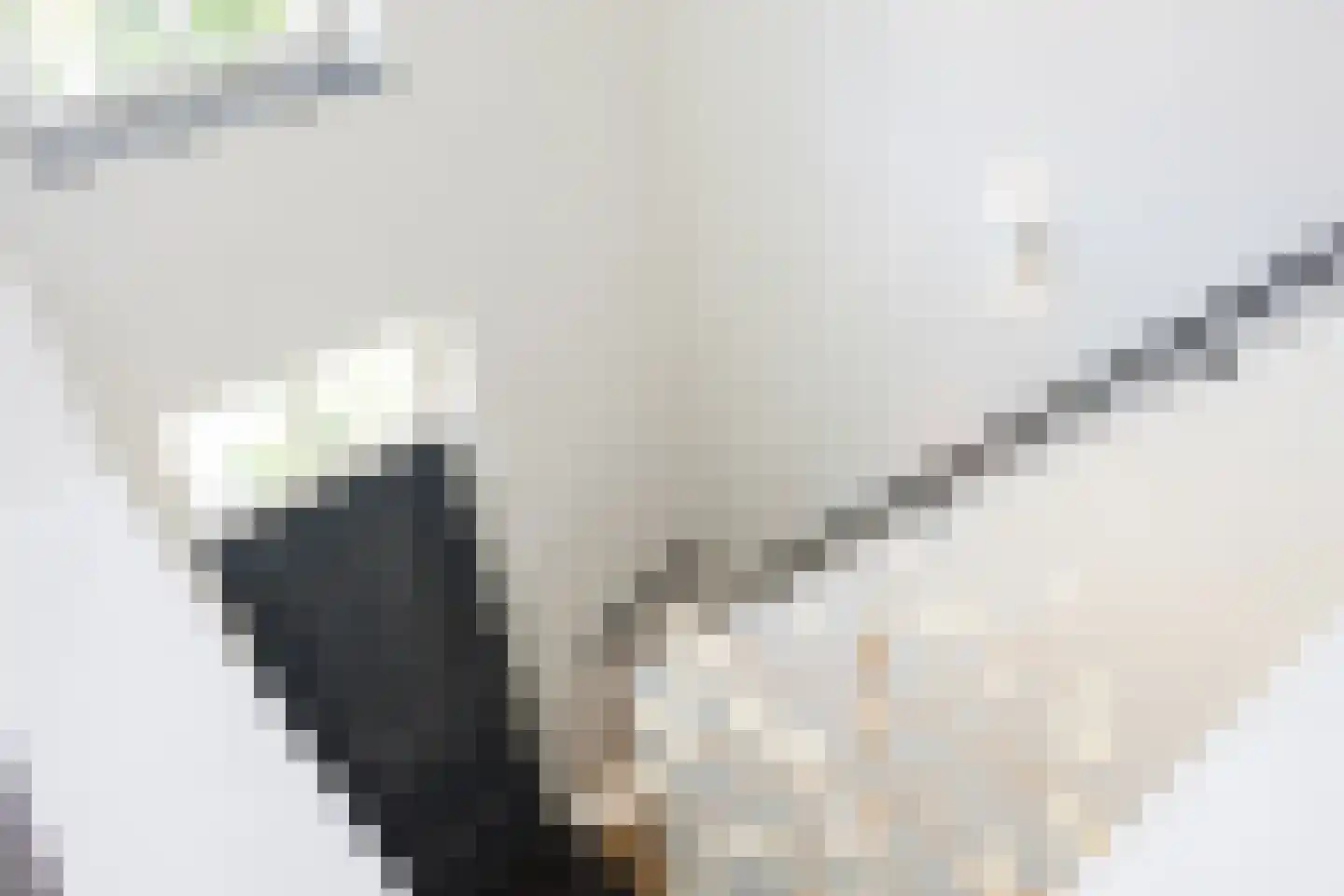 Tijplaats Es 16 Enschede thumbnail 26