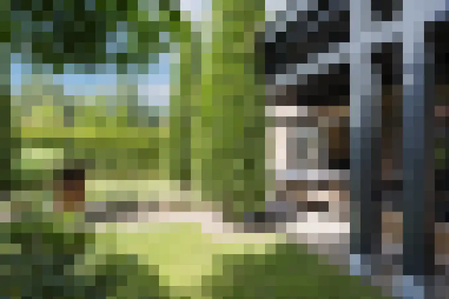 Tijplaats Es 16 Enschede thumbnail 42