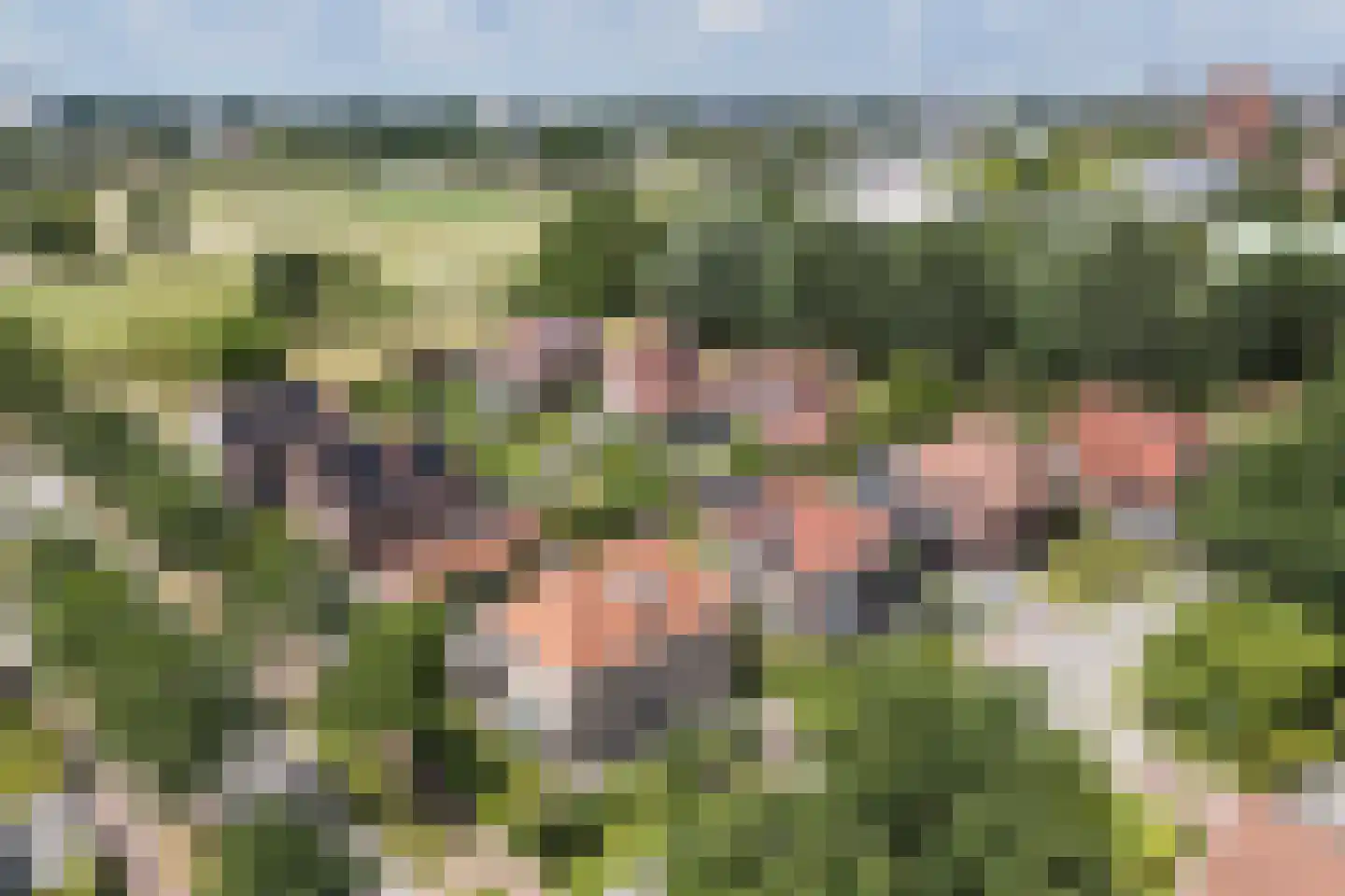 Tijplaats Es 16 Enschede thumbnail 53