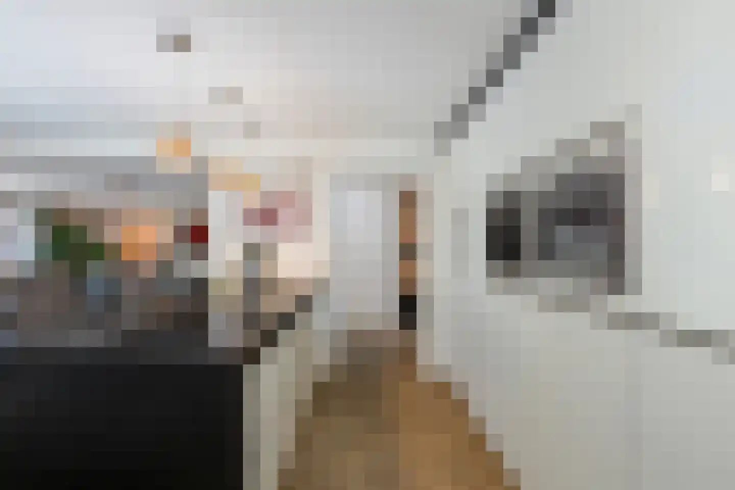 Tijs van Zeventerstraat 18 Rotterdam thumbnail 13