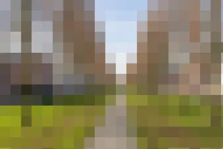 Tijs Wijsstraat 5 Almere thumbnail 27