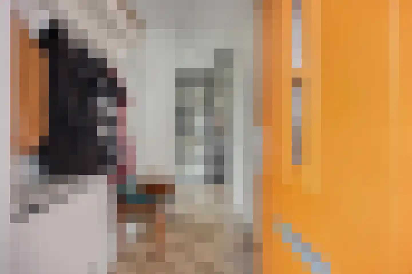 Tijsenveld 4 Bergeijk thumbnail 13