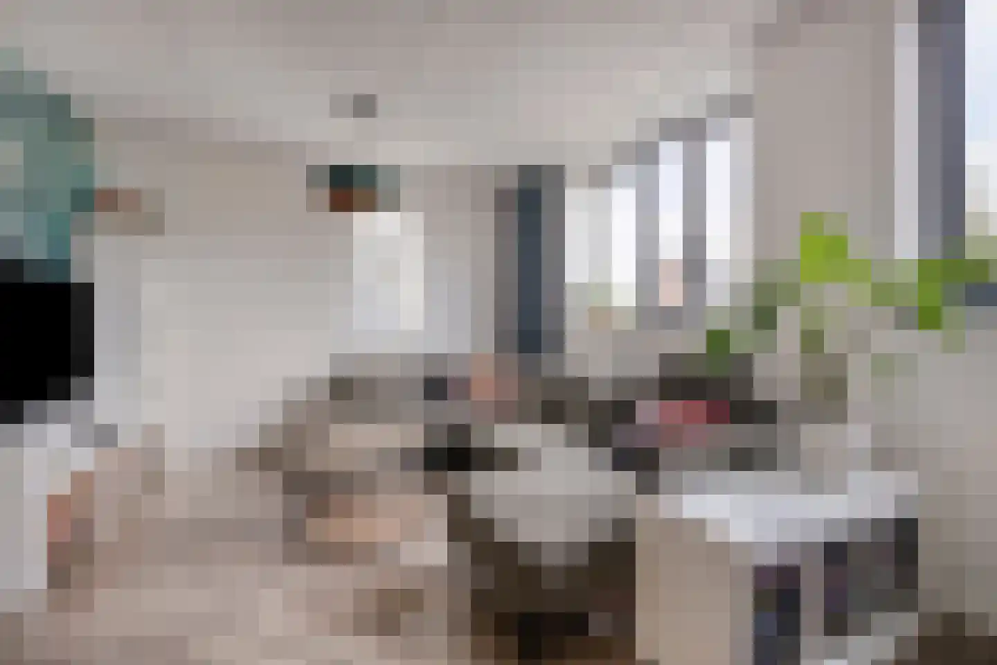 Tijsenveld 4 Bergeijk thumbnail 15