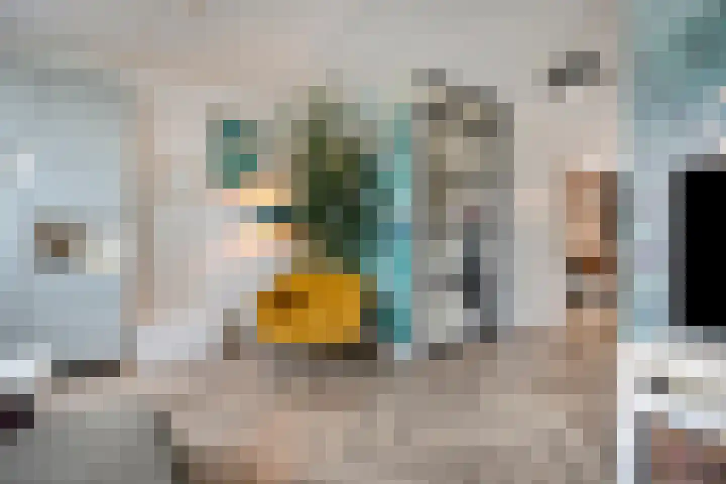 Tijsenveld 4 Bergeijk thumbnail 16