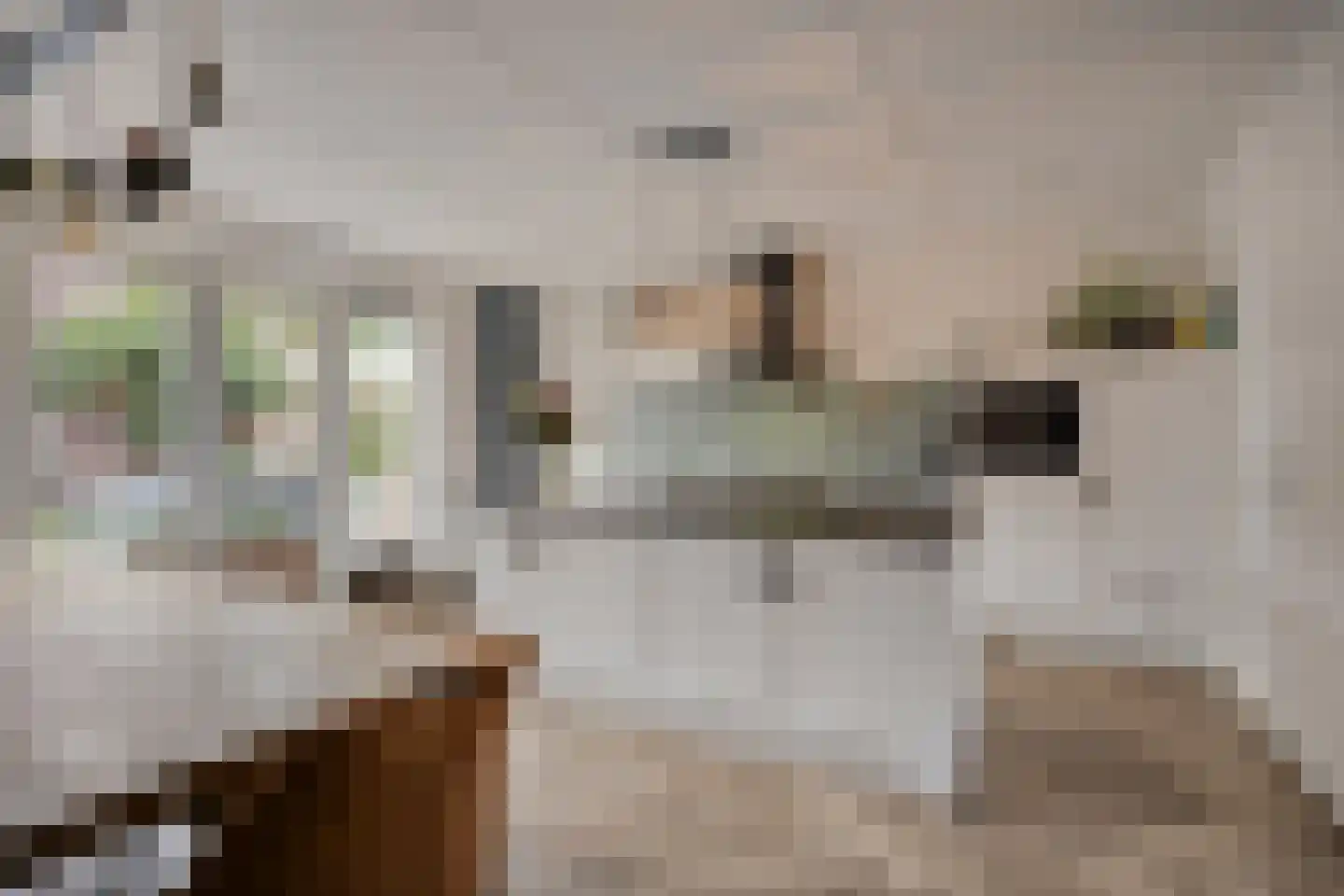 Tijsenveld 4 Bergeijk thumbnail 20