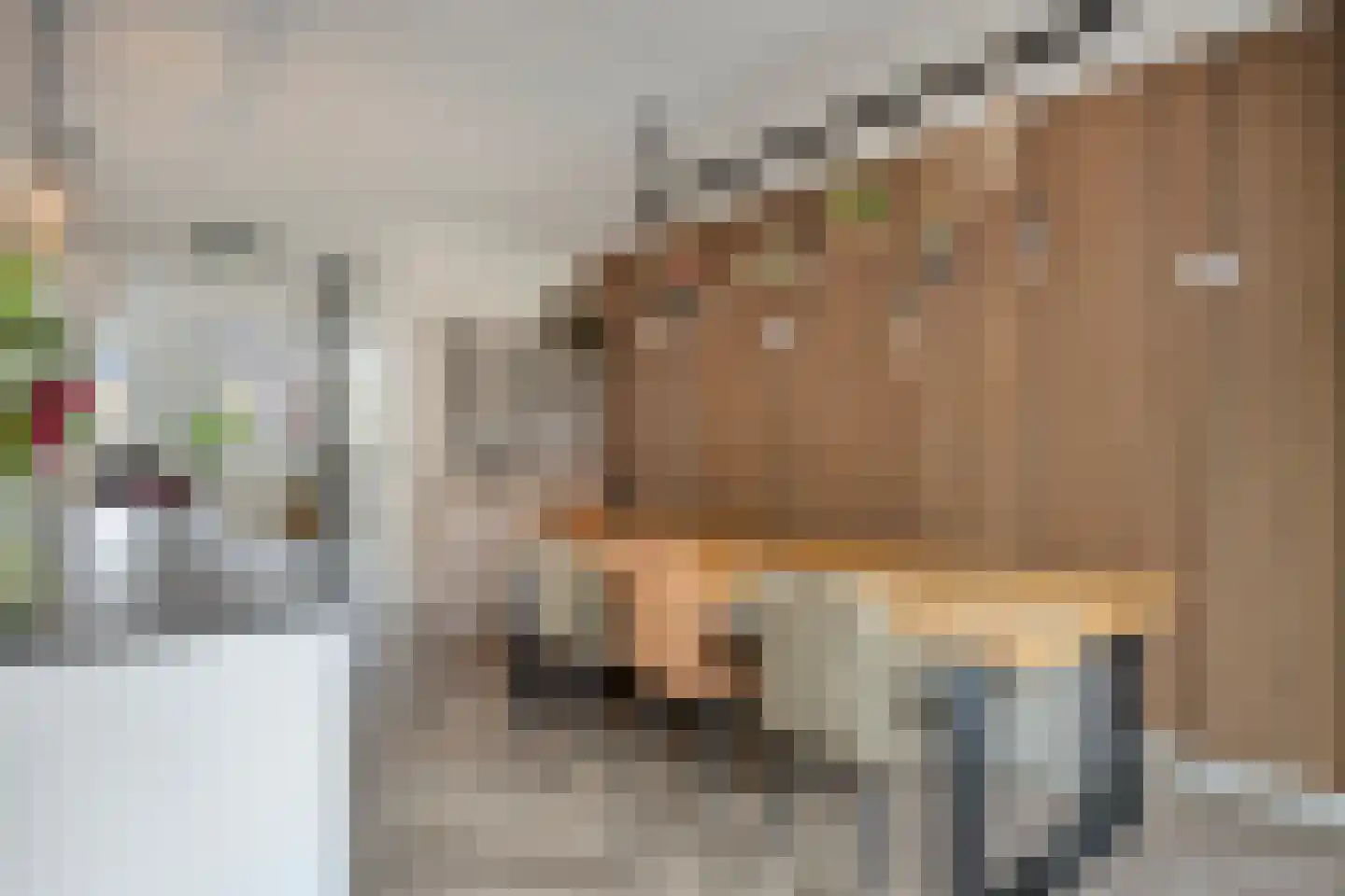 Tijsenveld 4 Bergeijk thumbnail 22