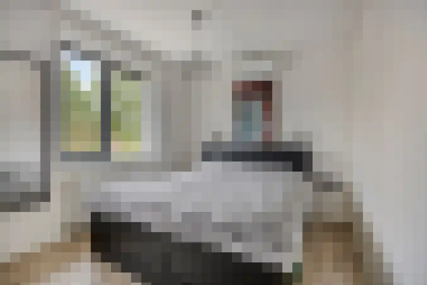 Tijsenveld 4 Bergeijk thumbnail 29
