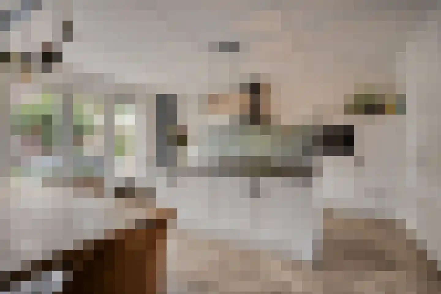 Tijsenveld 4 Bergeijk thumbnail 4