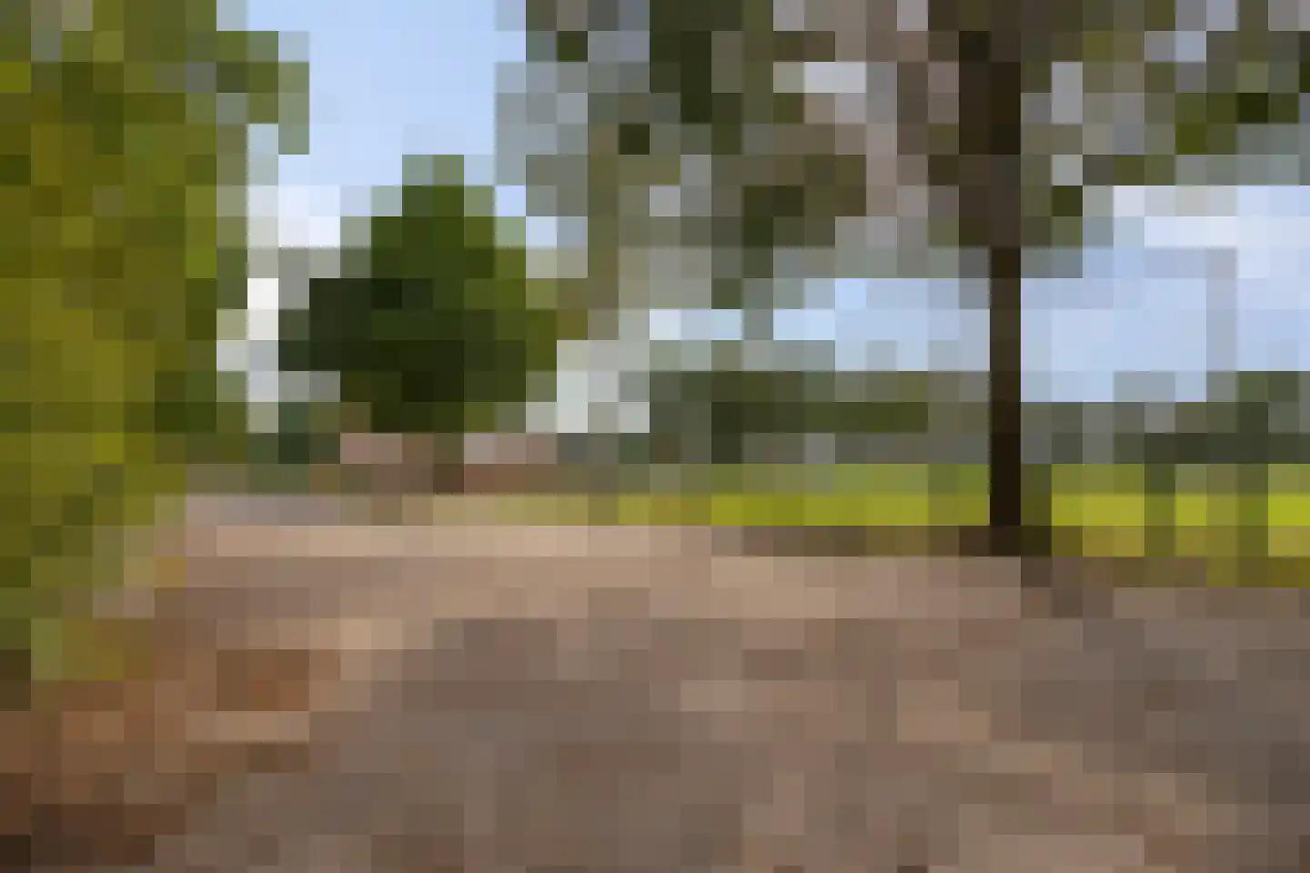 Tijsenveld 4 Bergeijk thumbnail 47