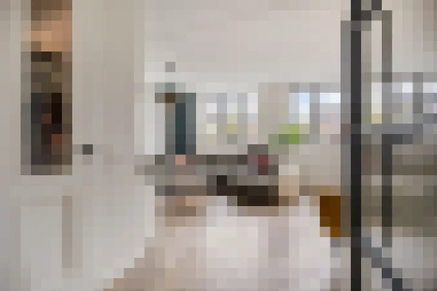 Tijsenveld 4 Bergeijk thumbnail 6