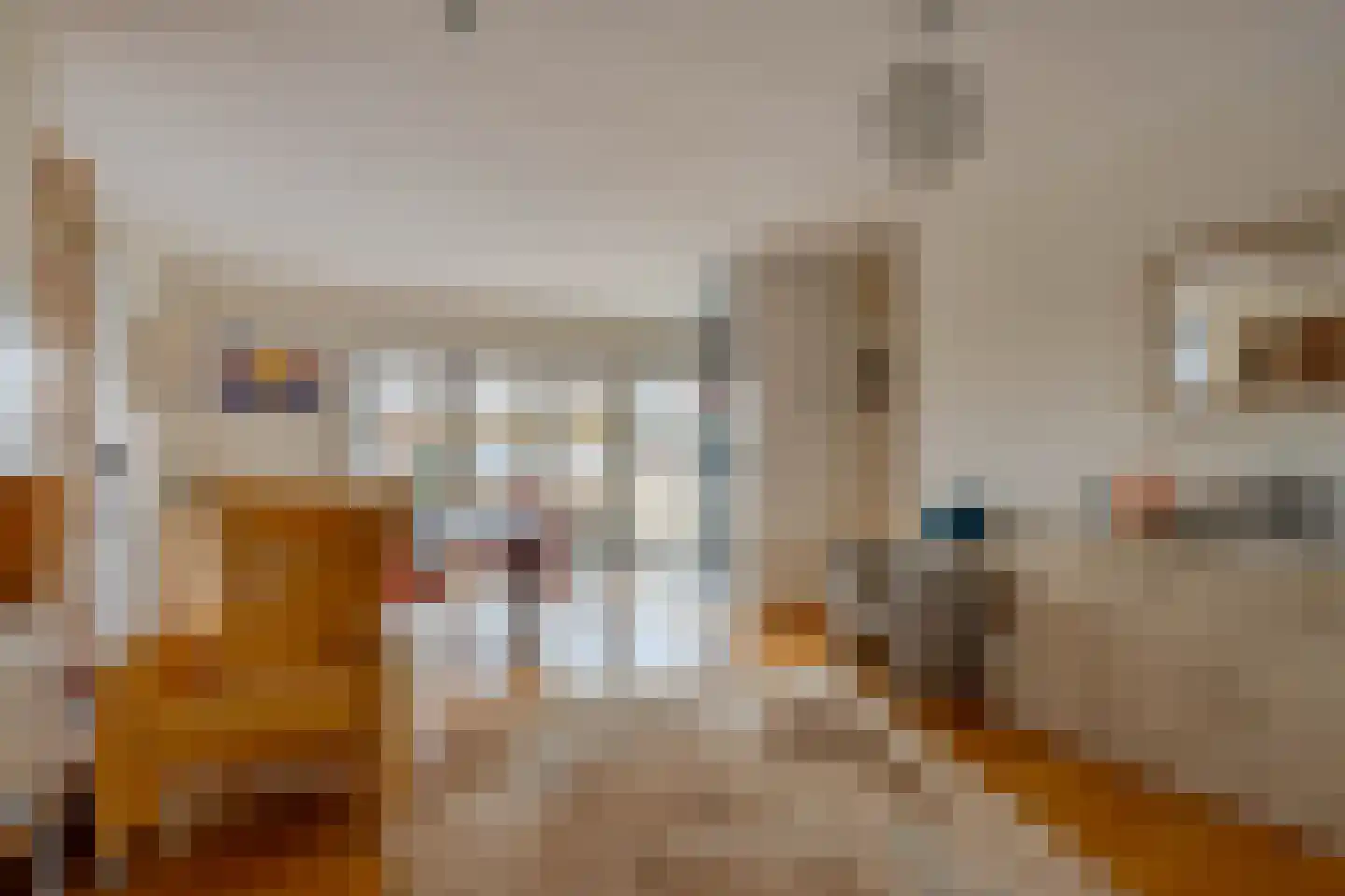 Tijsjesdijk 57 Rhoon thumbnail 11
