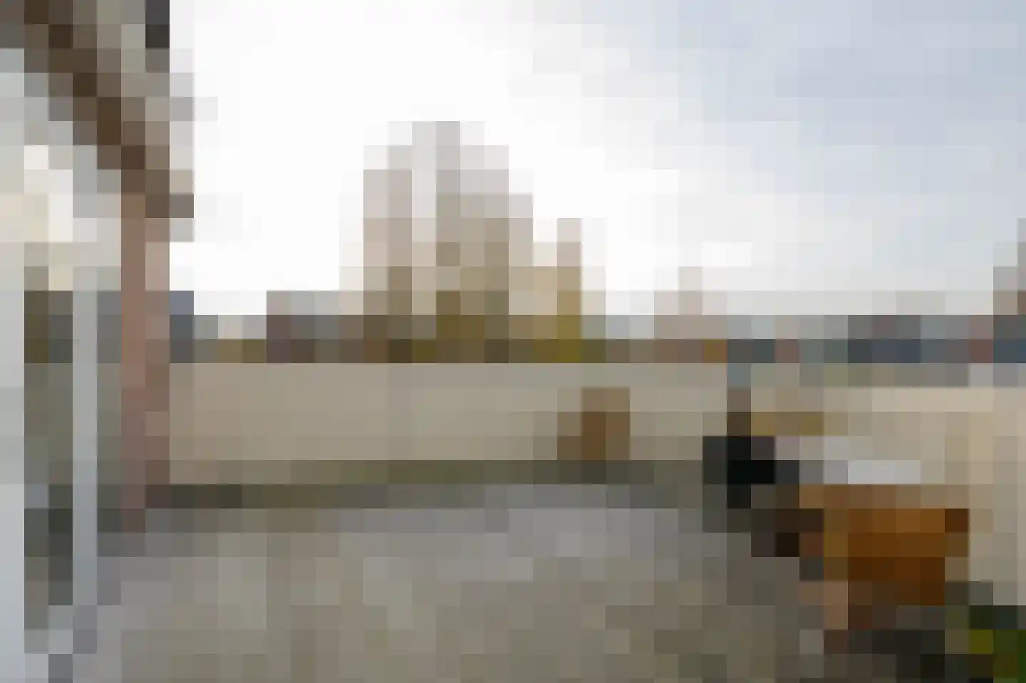 Tijsjesdijk 57 Rhoon thumbnail 13