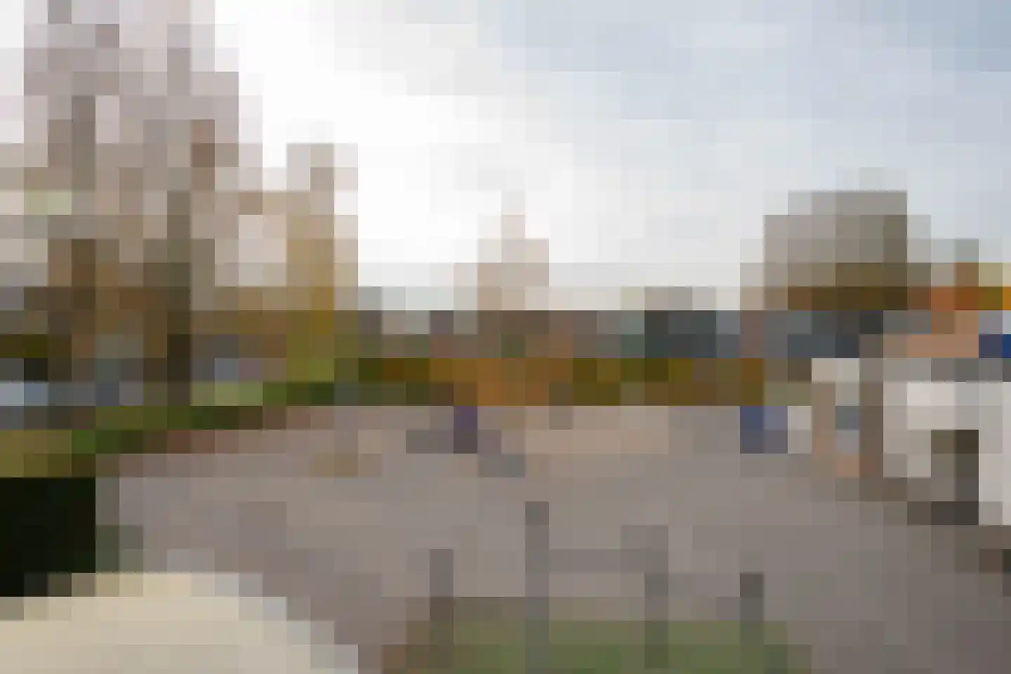 Tijsjesdijk 57 Rhoon thumbnail 15