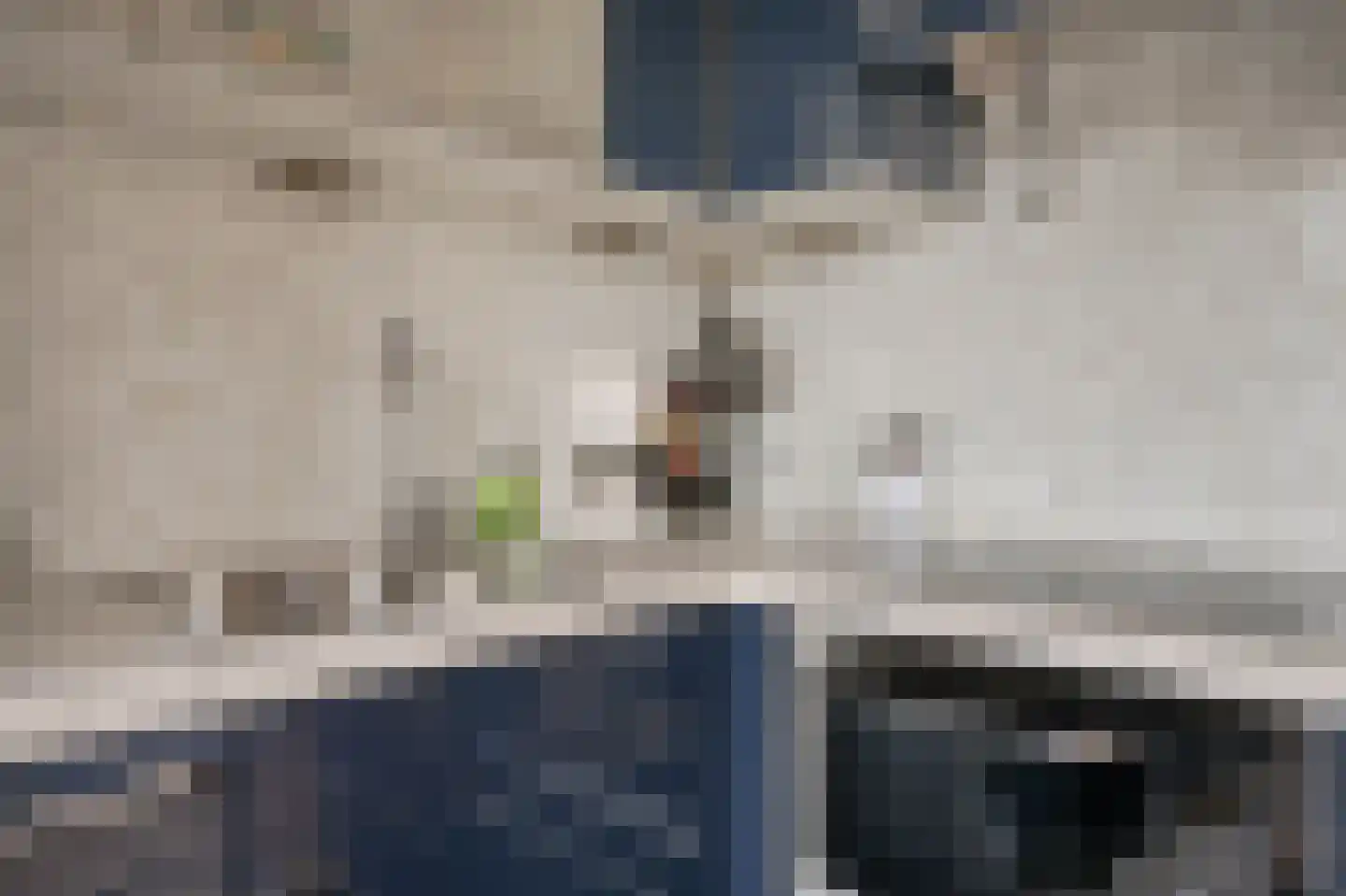 Tijsjesdijk 57 Rhoon thumbnail 17