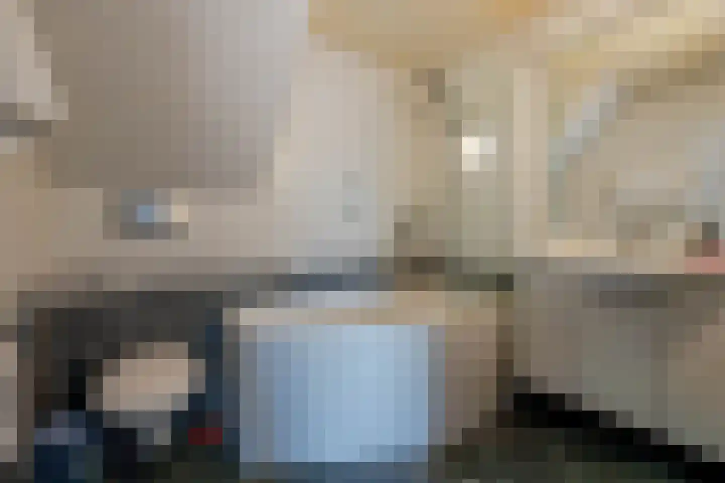 Tijsjesdijk 57 Rhoon thumbnail 20