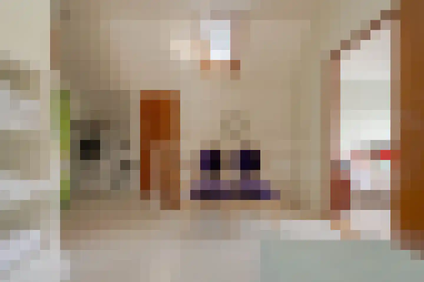 Tijsjesdijk 57 Rhoon thumbnail 21