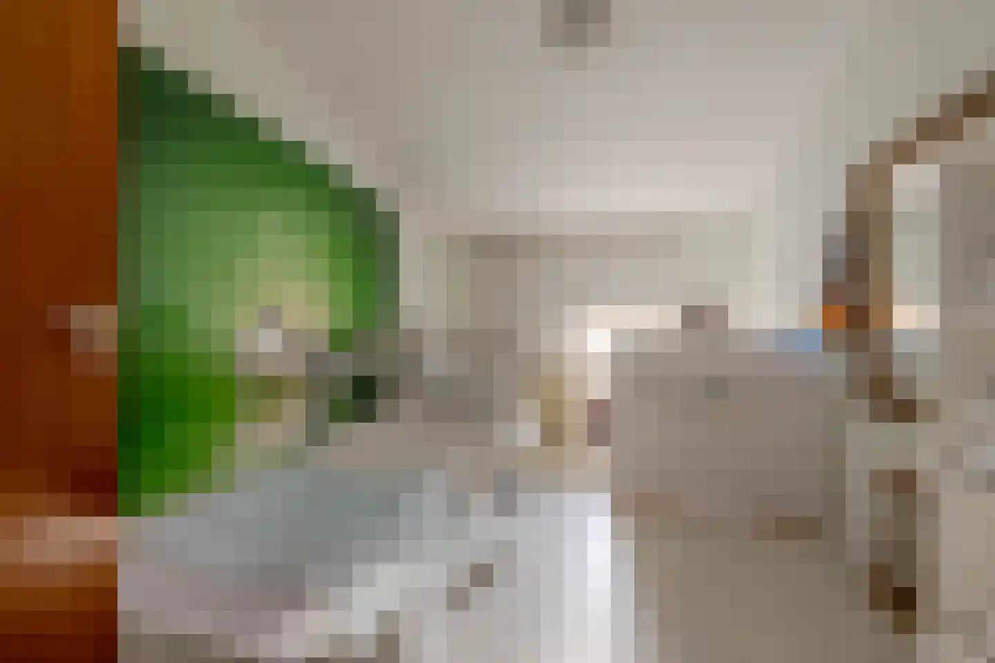 Tijsjesdijk 57 Rhoon thumbnail 23
