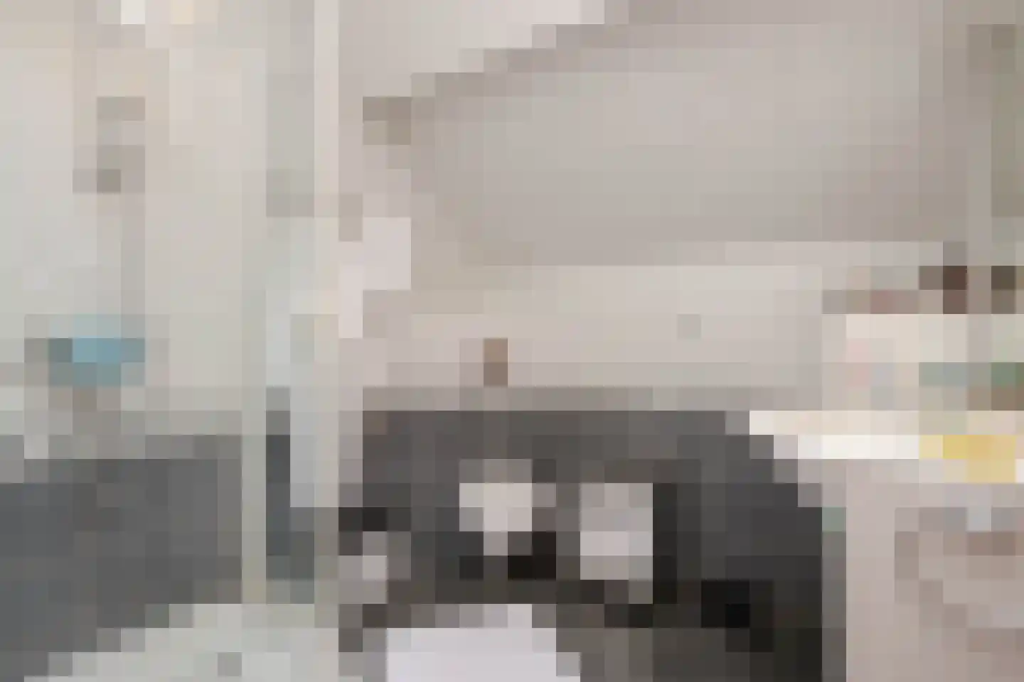 Tijsjesdijk 57 Rhoon thumbnail 28