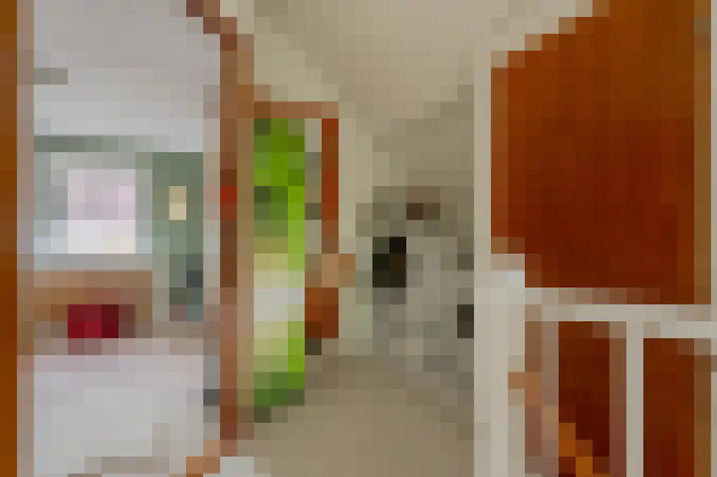 Tijsjesdijk 57 Rhoon thumbnail 29
