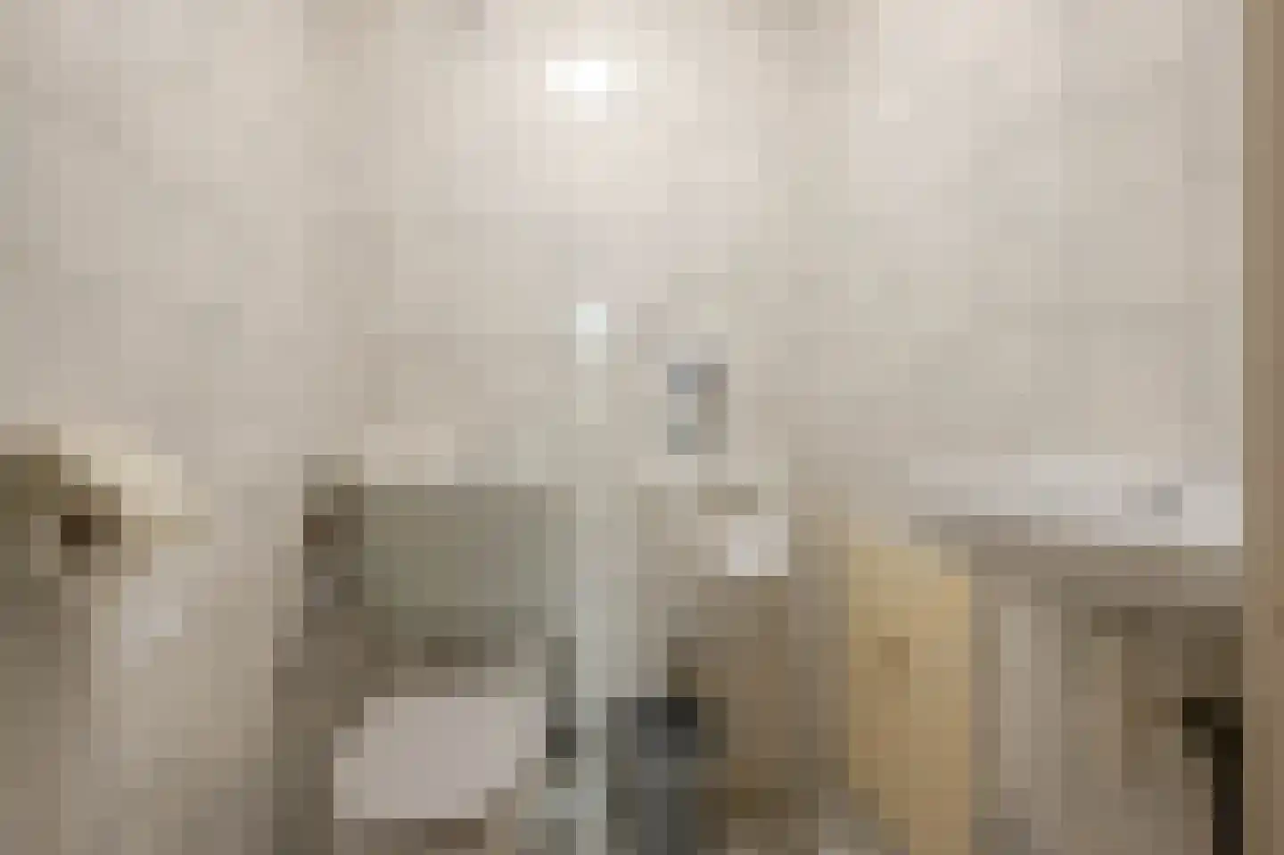 Tijsjesdijk 57 Rhoon thumbnail 30