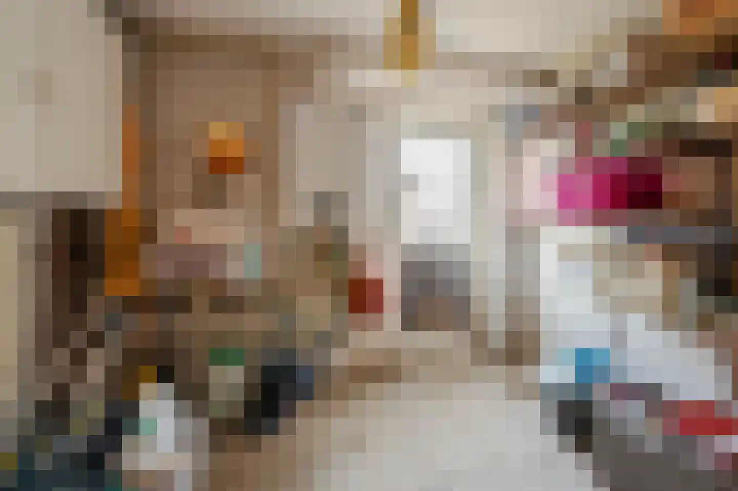 Tijsjesdijk 57 Rhoon thumbnail 37