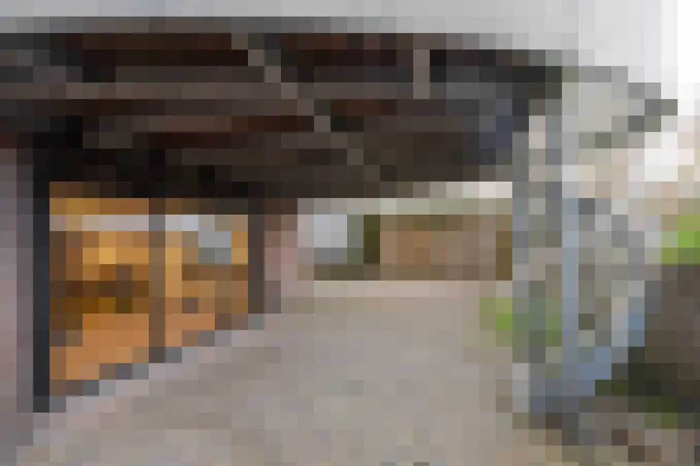 Tijsjesdijk 57 Rhoon thumbnail 4